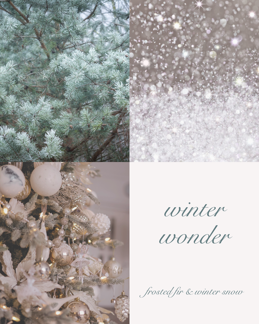 Winter Wonder ~ Frosted Fir Candle